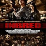 پس زمینه Inbred
