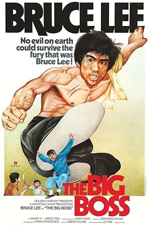 دانلود فیلم The Big Boss 1971 رئیس بزرگ